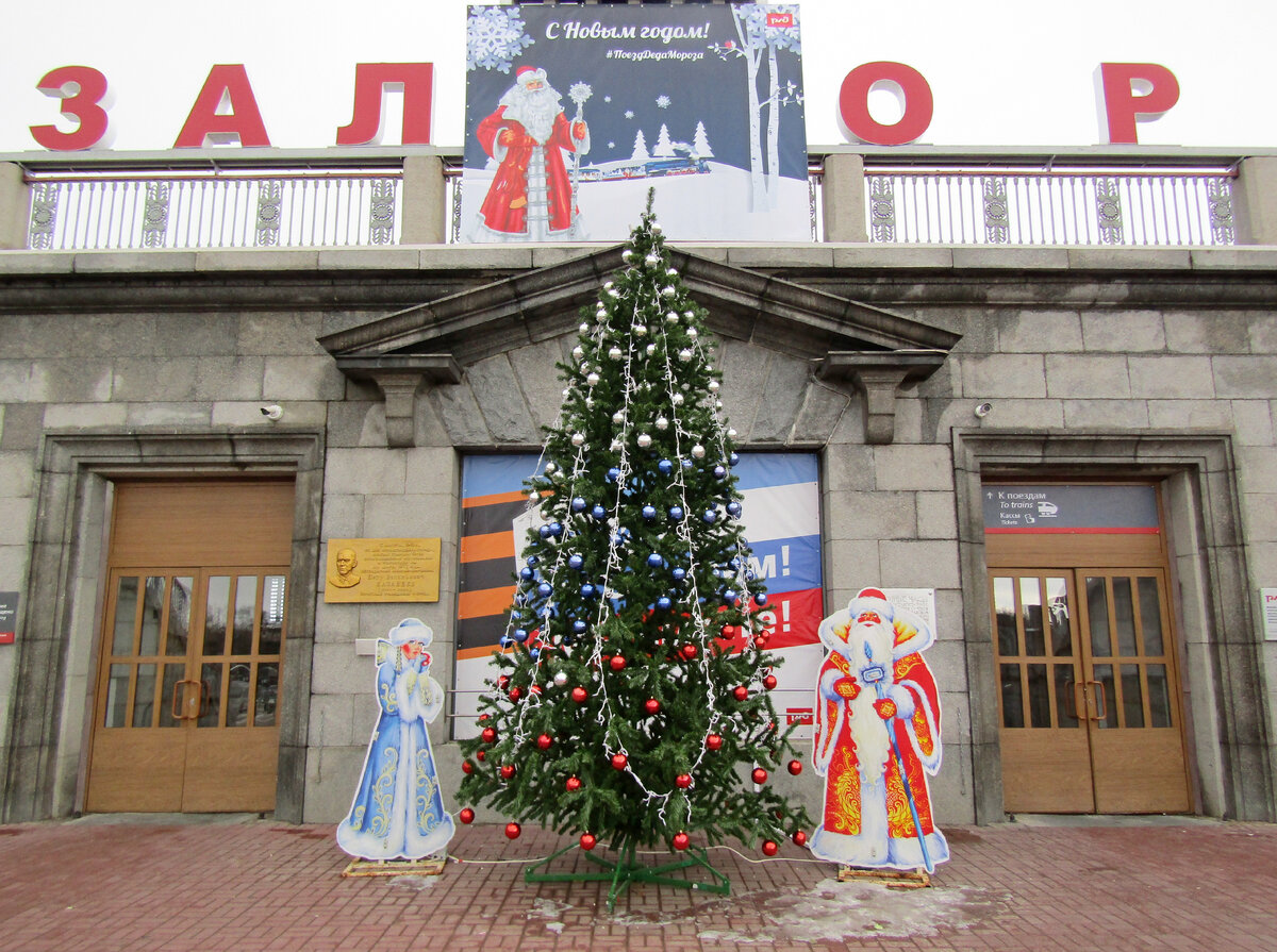 щекино елка 2023