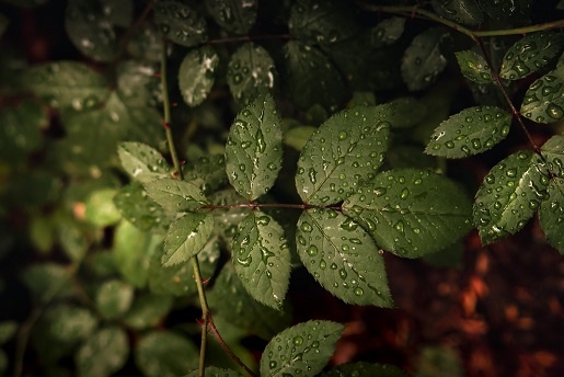 Изображение из открытого источника. Unsplash