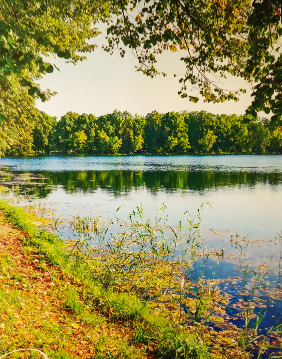 Фото автора.