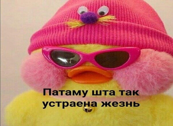 Утка простит (мем из инета)