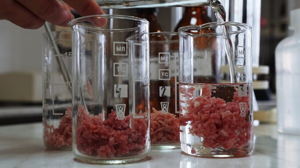 В лаборатории предприятия во время производства мясных деликатесов компании "Калининградский деликатес"© РИА Новости / Игорь Зарембо
