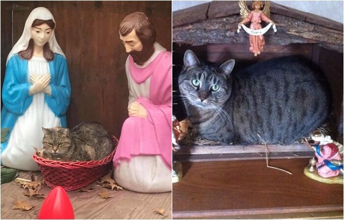 Фото из открытого источника.