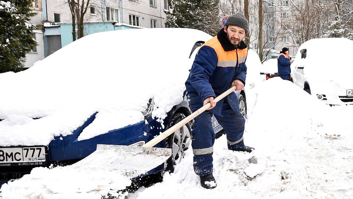    Фото: Пелагия Замятина / Вечерняя Москва