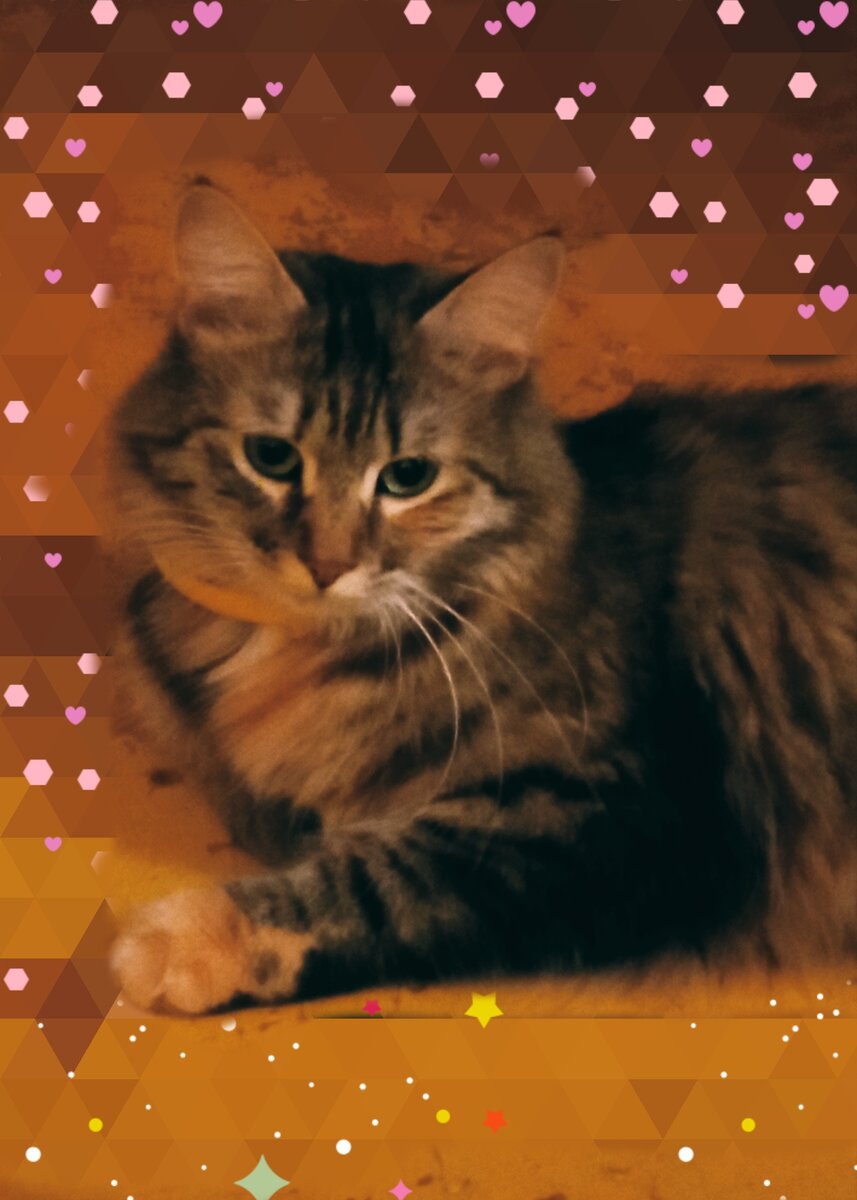 Была "Мелкая" 😹