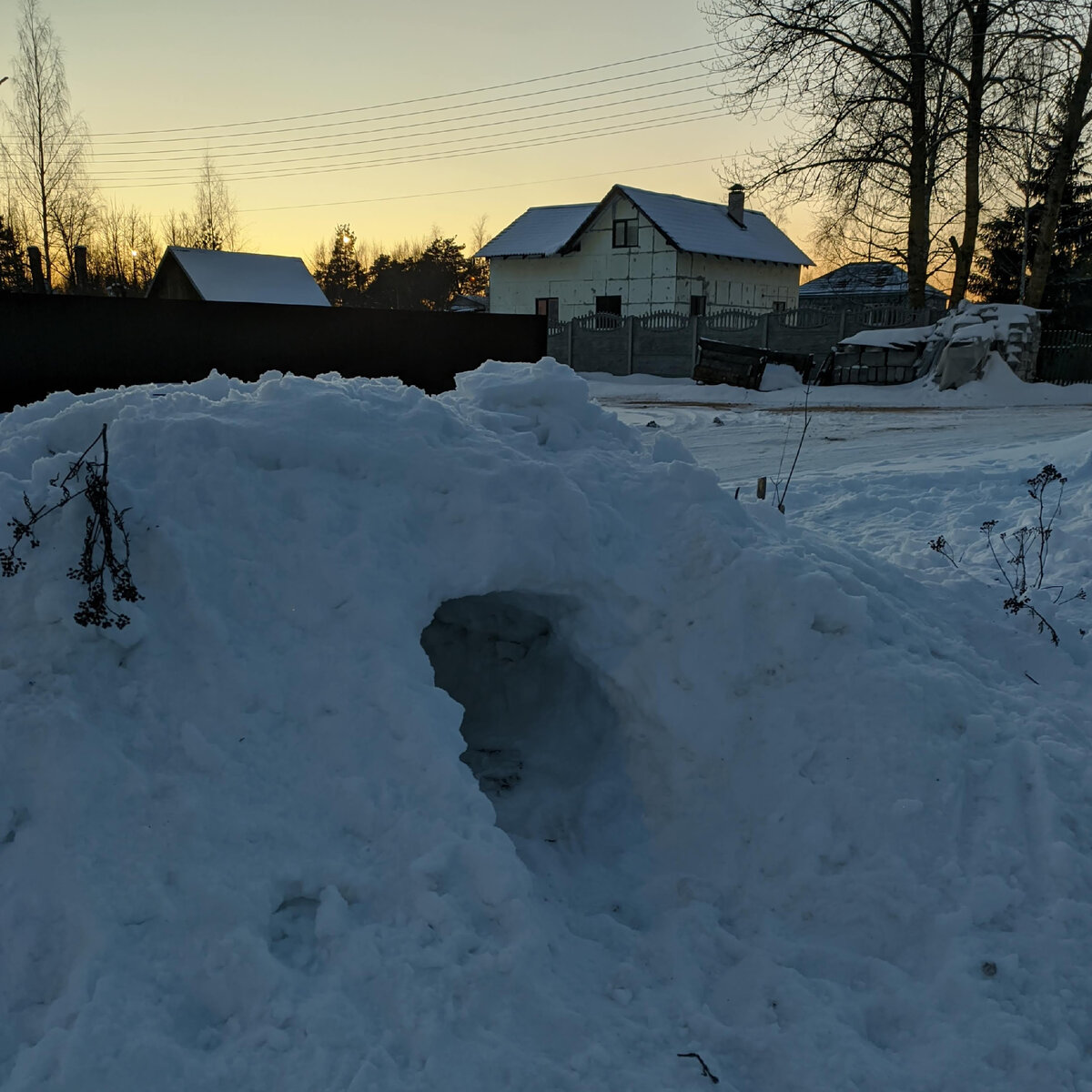 Дети вот нарыли нору у дома 