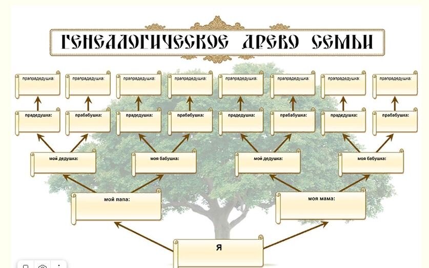 Как нарисовать свою родословную