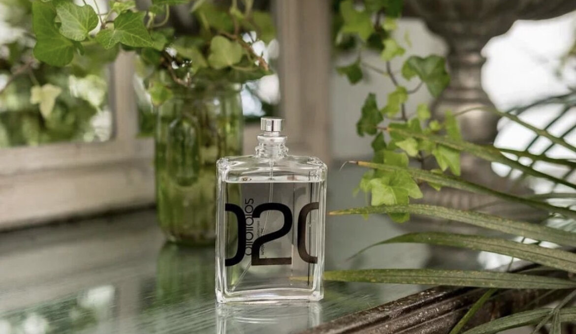 Фото из запрещенной сети