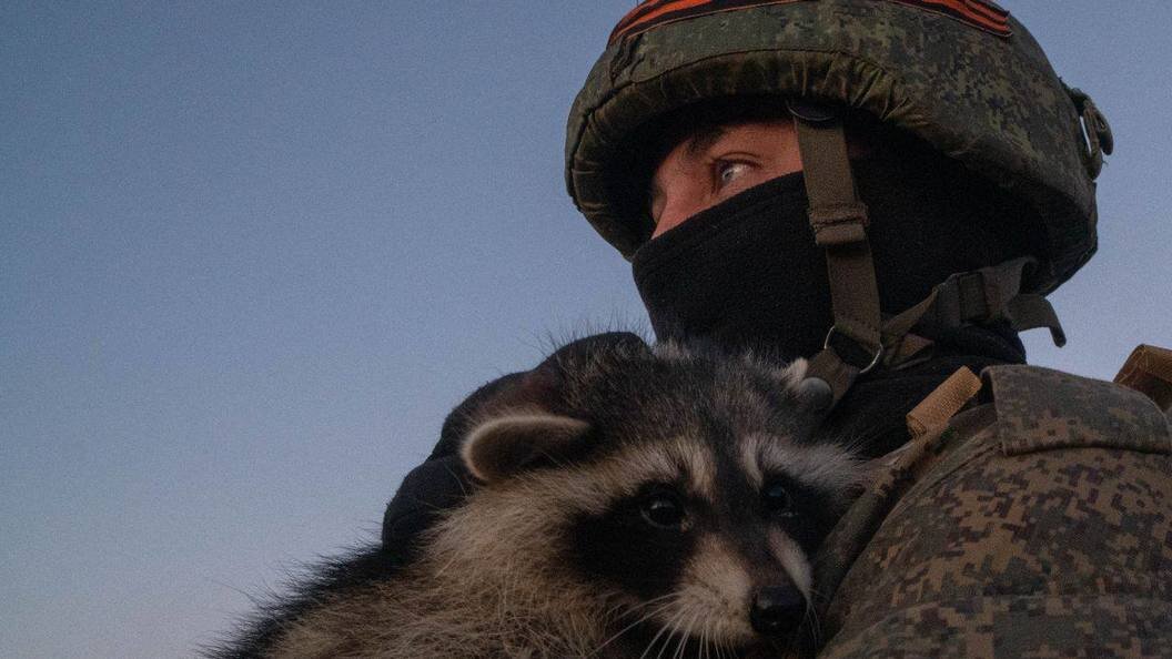    Фото: globallookpress.com