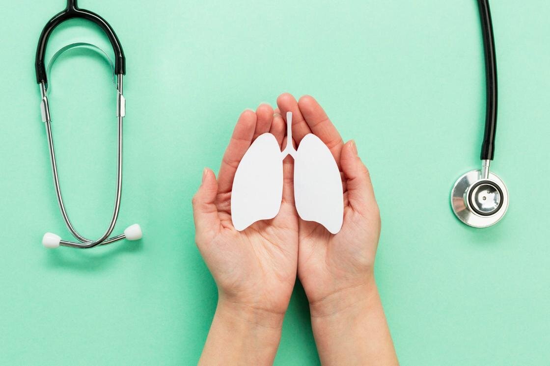    Макет легких в ладонях:Freepik