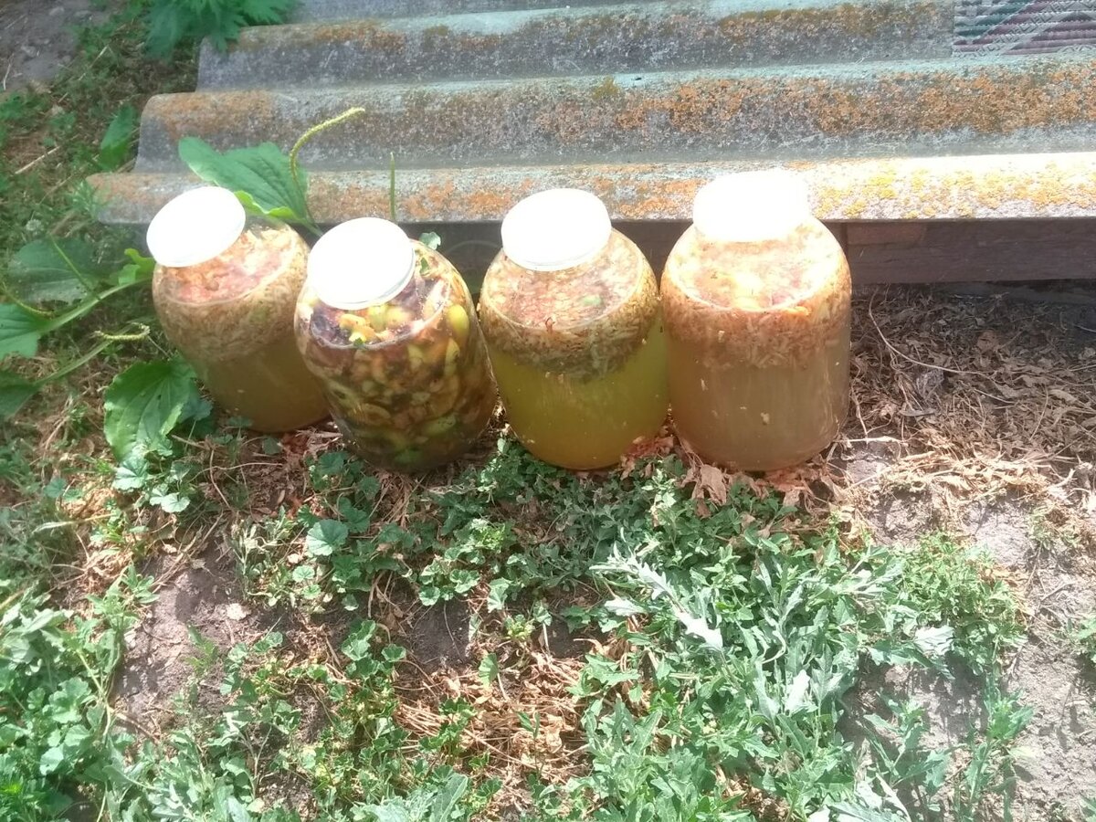 Процесс брожения, день 1