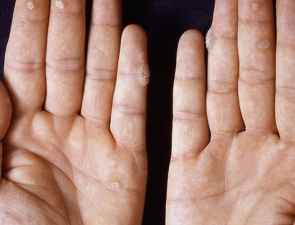 Картинка из интернета