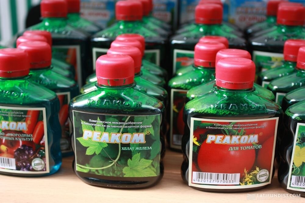 Источник: latifundist.com