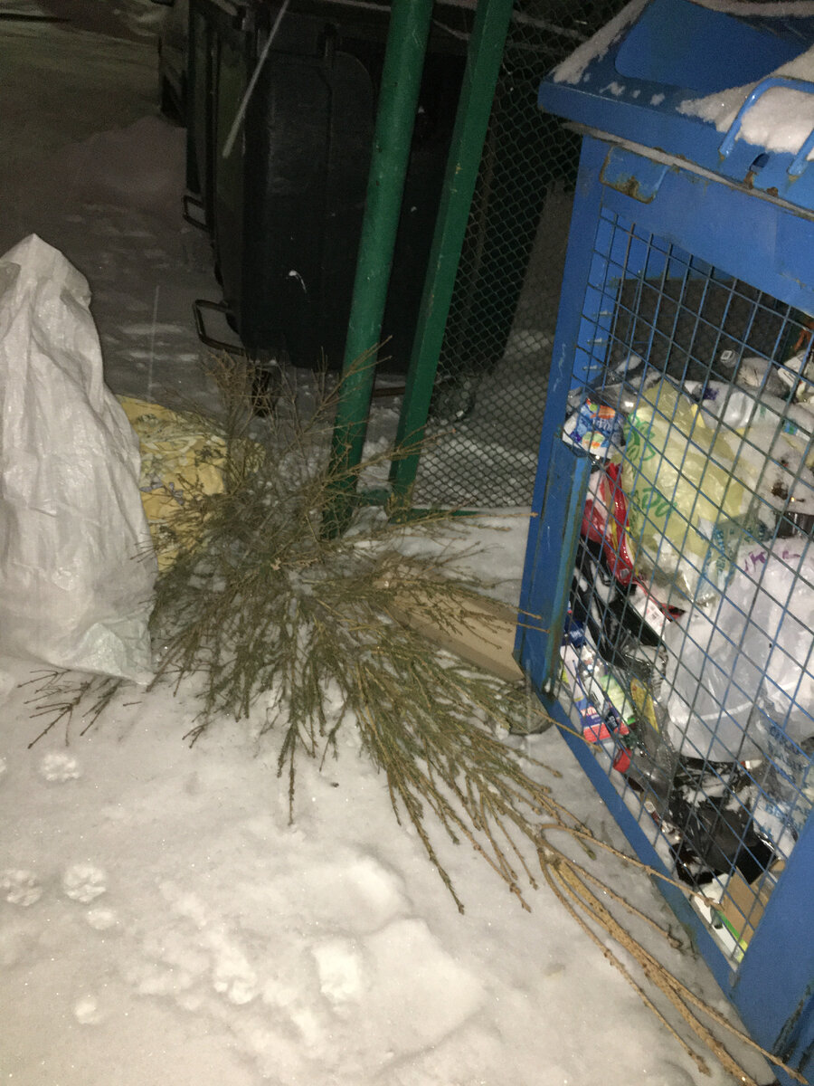 Извините, помойка не самое приятное место
