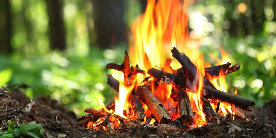 Фото: depositphotos/Valentyn_Volkov 