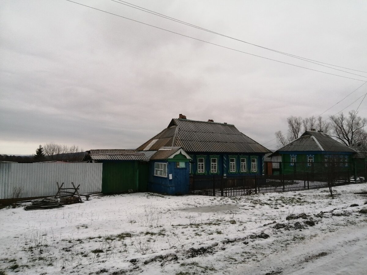 В соседях у нас только дачники. Фото автора