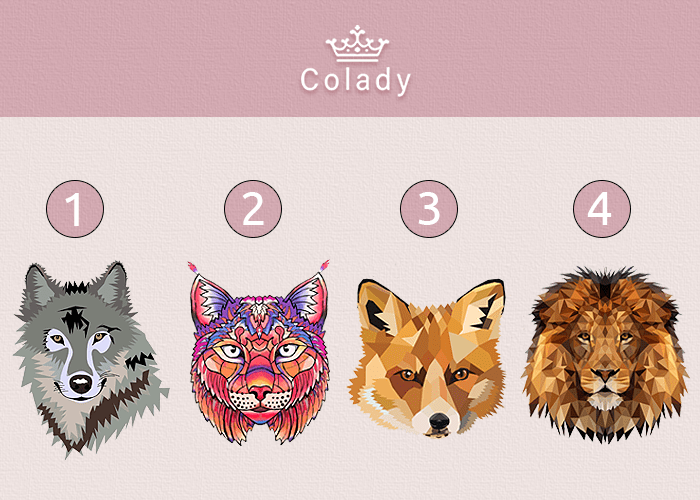    Иллюстрация Colady от Кирилла Даниленко Мария Павлей