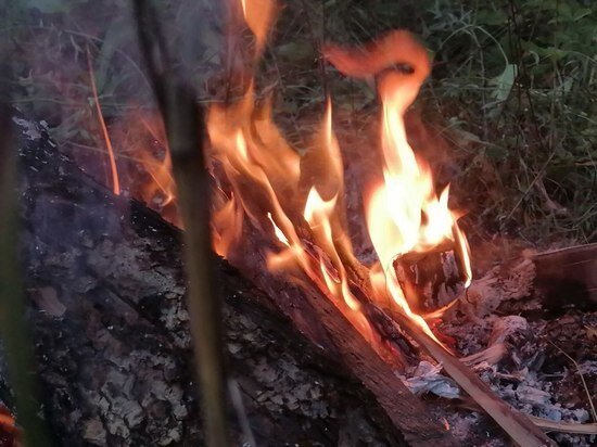     фото: МК в Туле