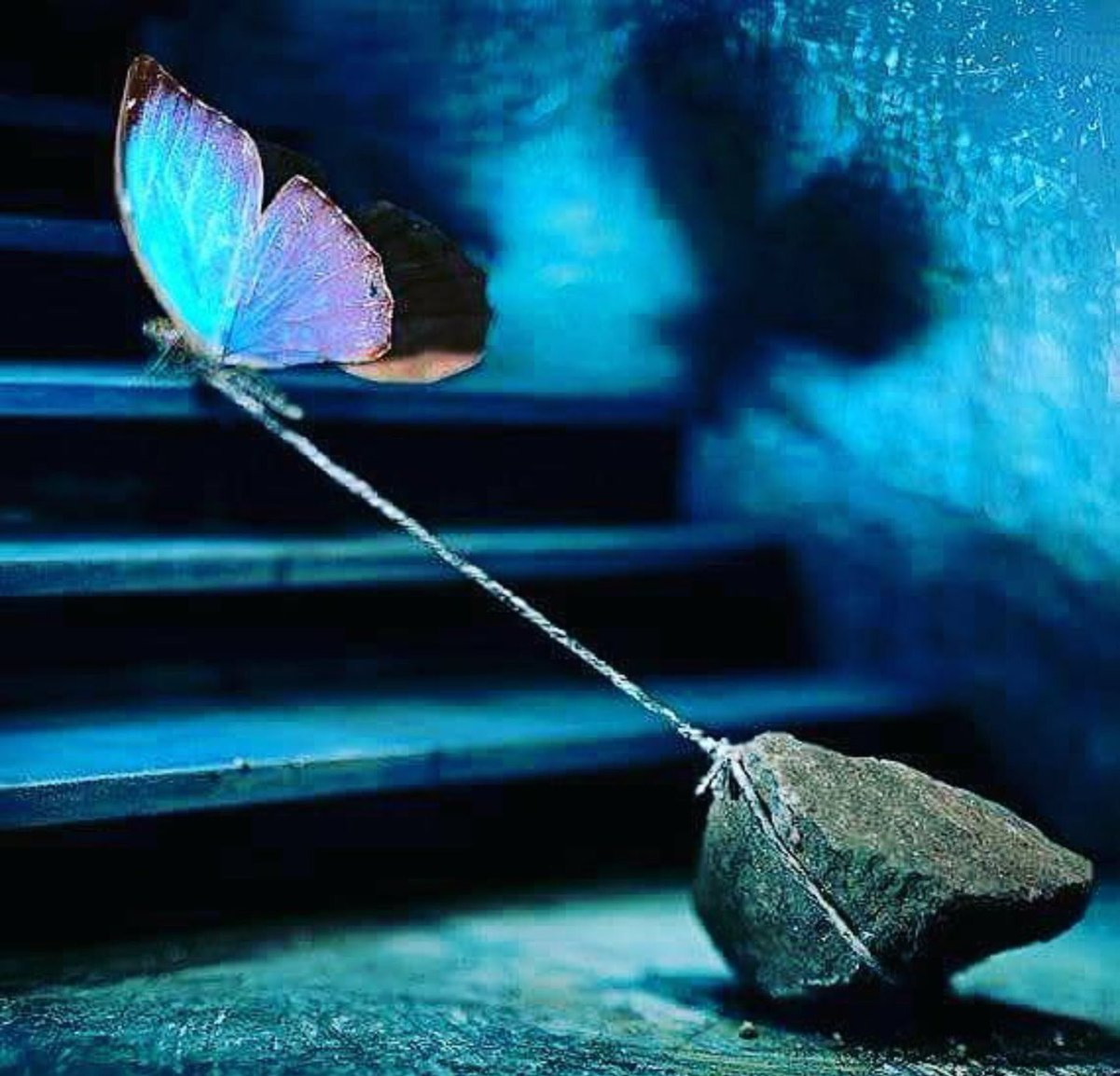 Отпусти все и живи. Бабочка тянет камень. Бабочка душа. Бабочка привязанная к камню. Бабочка с камнем на веревке.