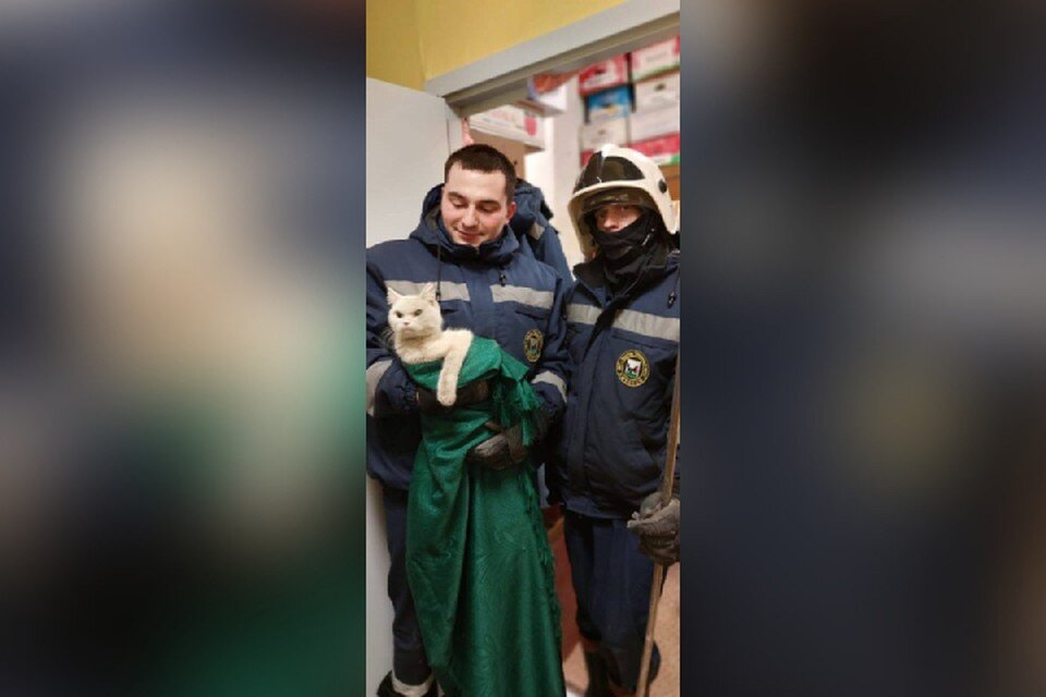     Четыре дня просидел в заточении, бедолага. Фото: Евгений Тутолмин.