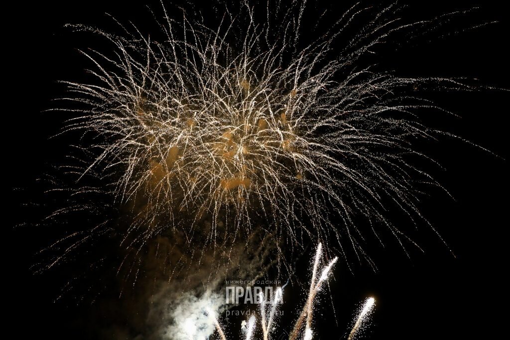    Спецплощадки организованы во всех районах города, кроме Канавинского района Анастасия Красушкина