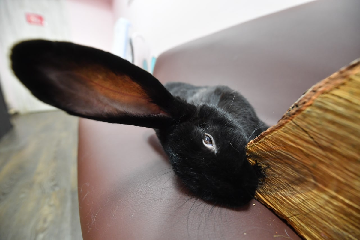 Komsomolskaya Pravda/Globallookpress