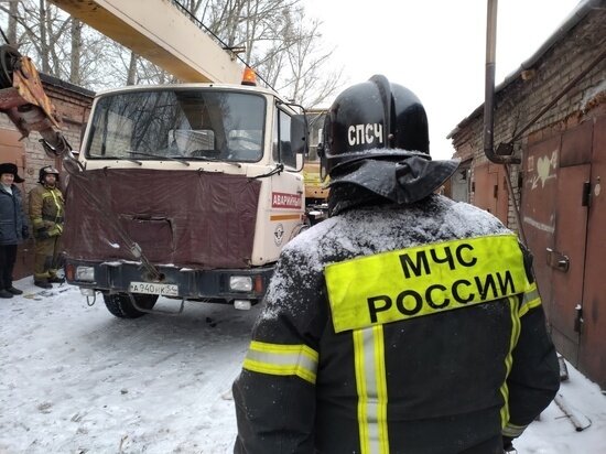     Густаво Зырянов / "МК в Новосибирске"