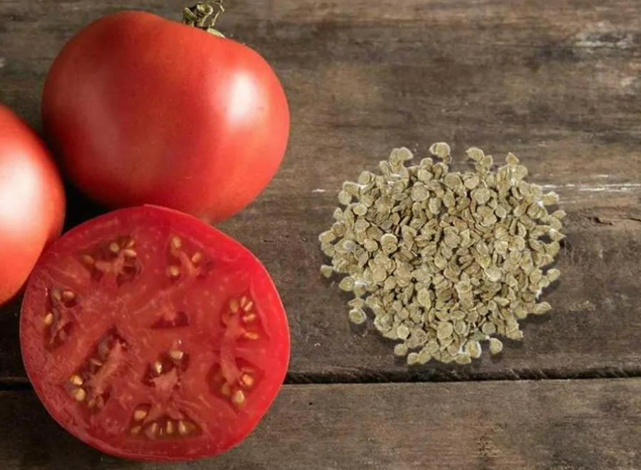 Фотография взята из источника semena-ural.ru