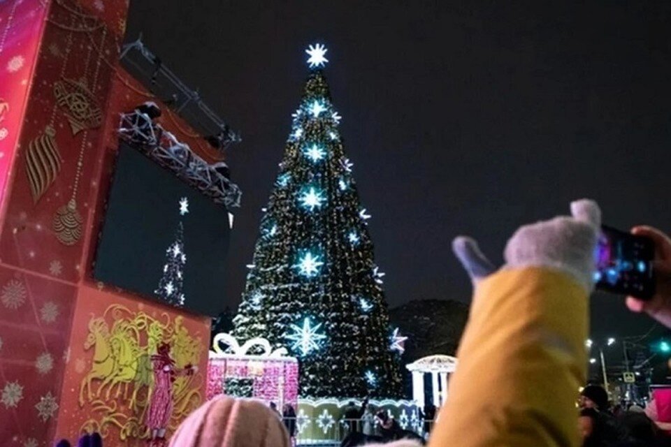     Уже сейчас около зеленой красавицы выставили оцепление. Фото: администрация Ростова-на-Дону