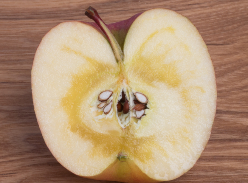 Стекловидность плодов яблони. Яблоко с прозрачной мякотью. Стекловидность внутри яблоко. Стекловидность плодов яблони причины. Плод с дурным запахом