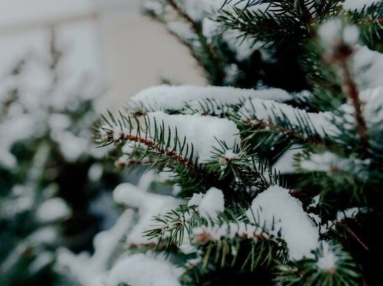     Фото: Карина Пожогина