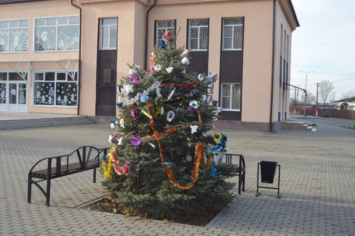 Фото автора. 31.12.2022. Главная станичная ёлка.