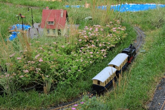 фото @ronster_production