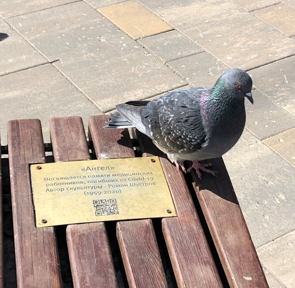 Фото автора.