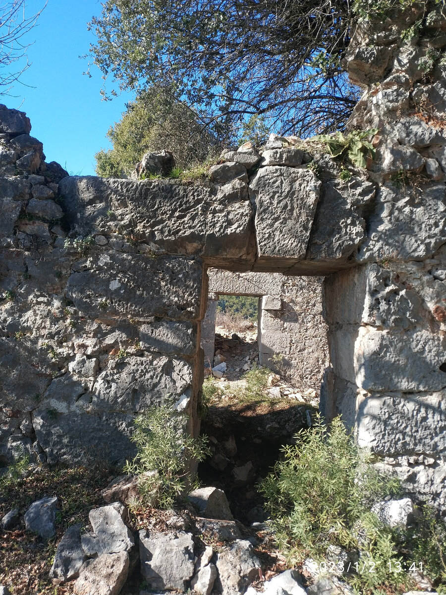 Лаэртес.Фото автора.