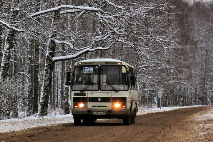 фото из общедоступных источников. Фото: Guaglione / busphoto.eu. t-i.ru