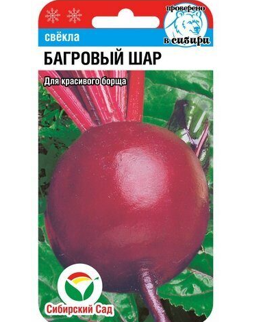 Свёкла Багровый сад. Скрн фото автора