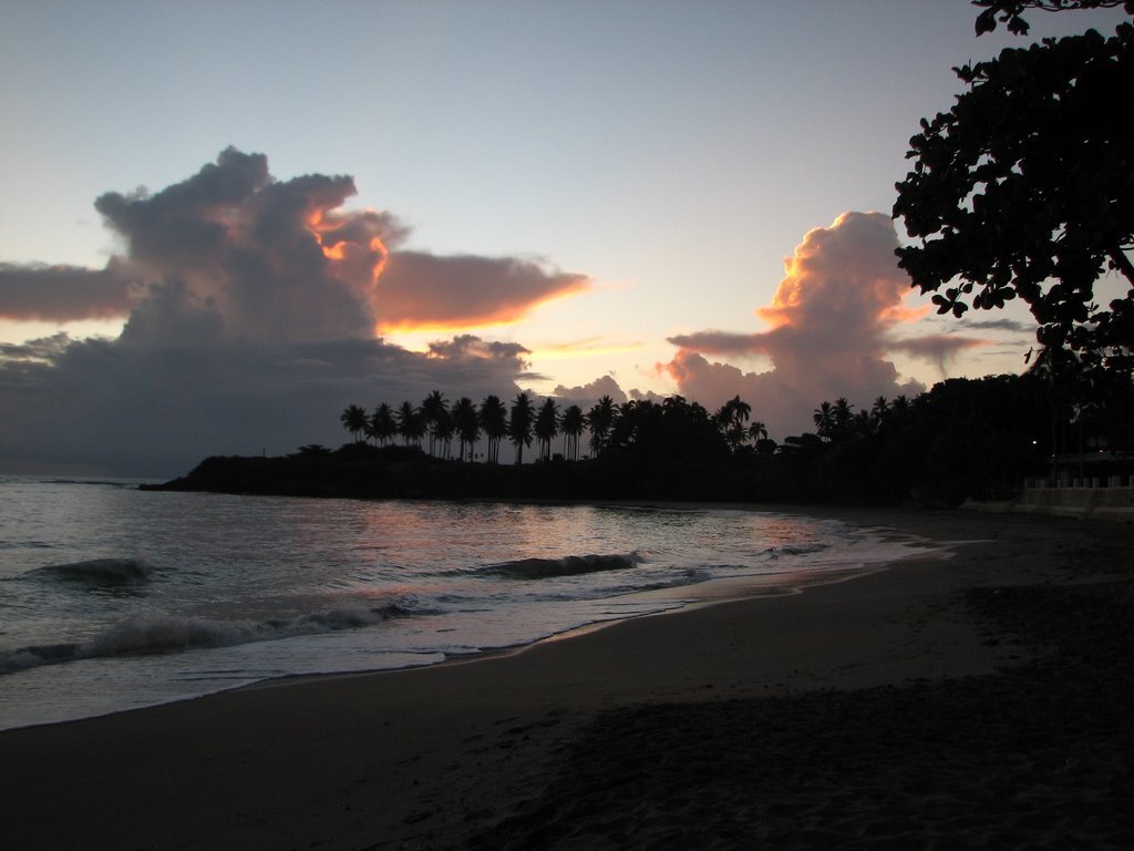 Фотогалерея залива Кофреси