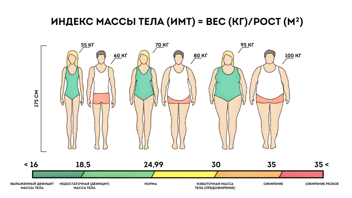 Картинки степени ожирения