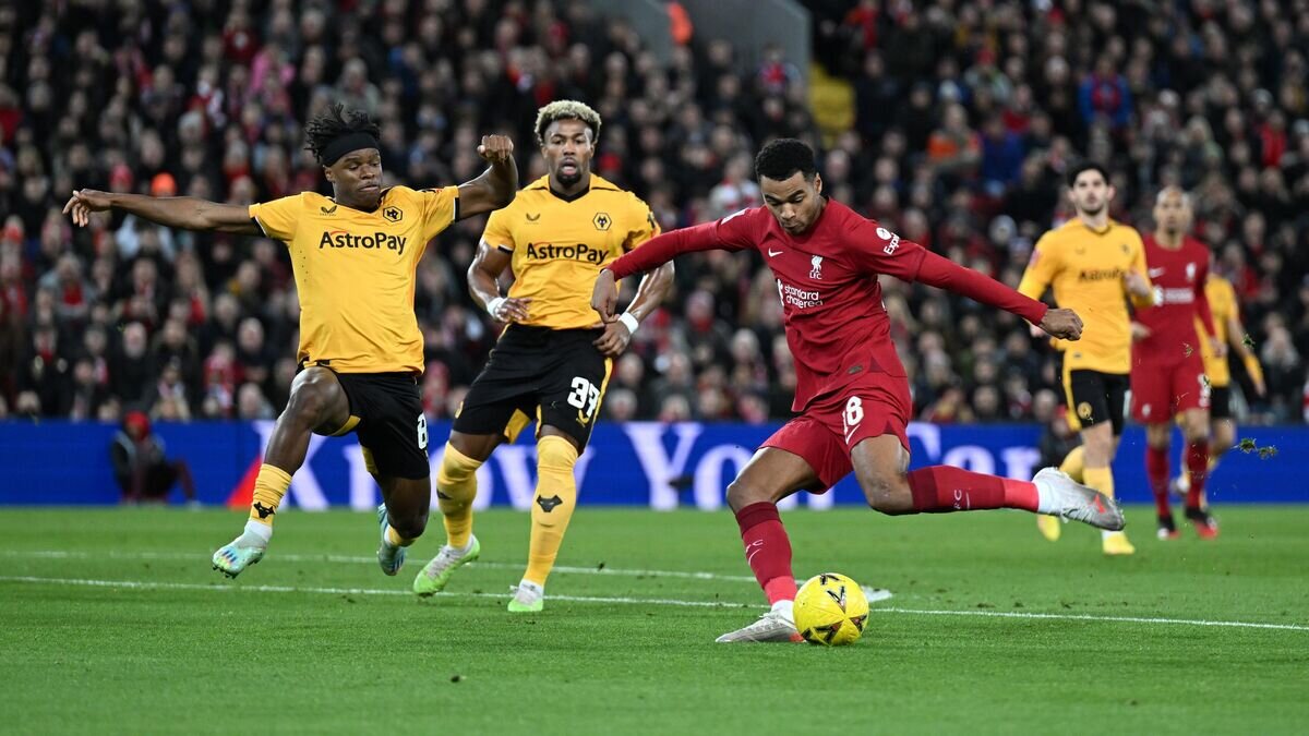    Полузащитник "Ливерпуля" Коди Гакпо© пресс-служба клуба "Ливерпуль"