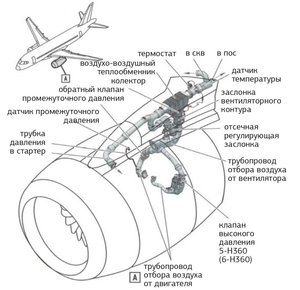 Показать на схеме где у самолета бензобака