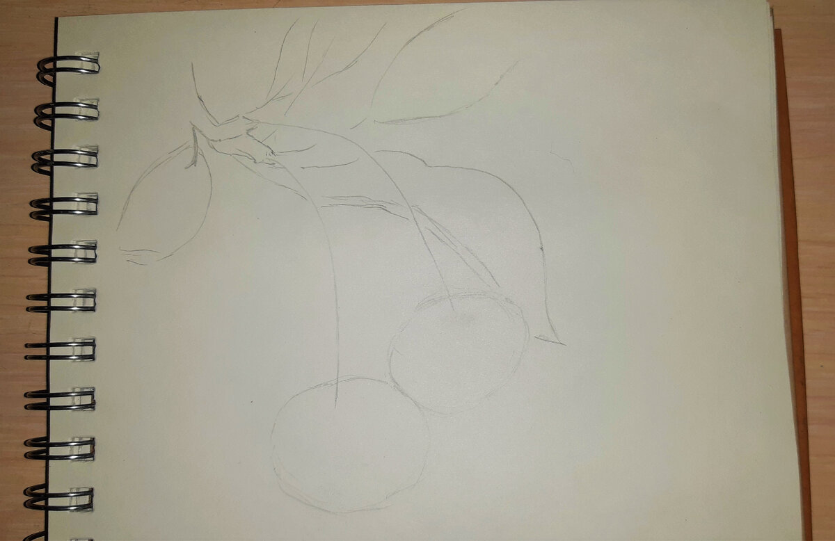 Разметила, где у меня вишня, а где листики