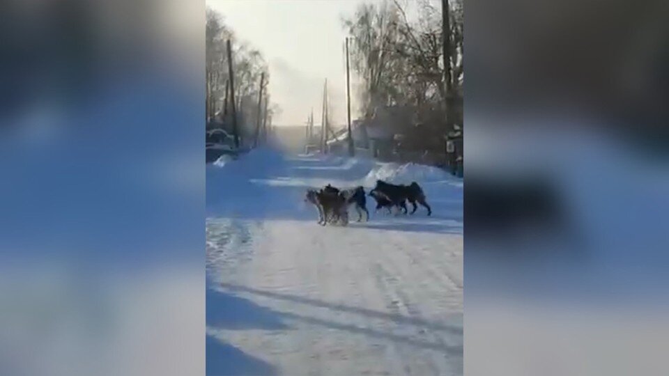     Фото: "Я из Томска"