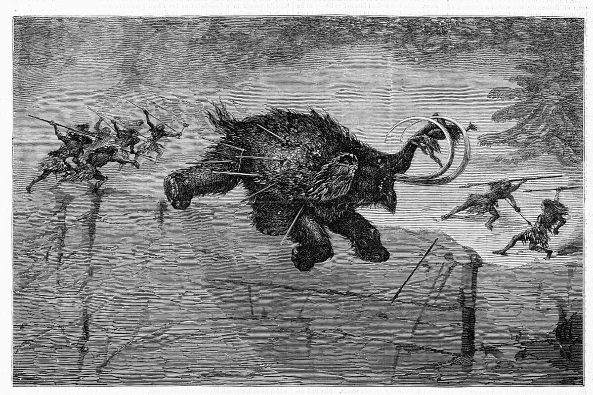 Фото из инциклопедии