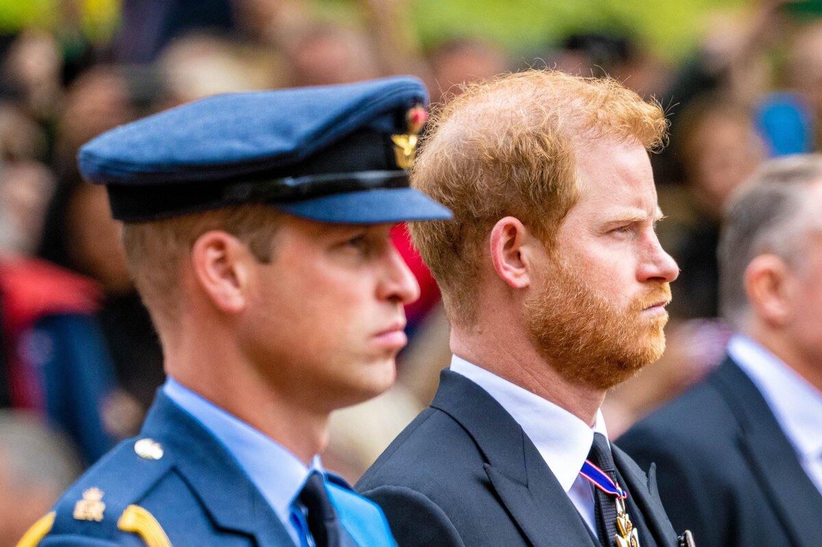     «Запасные органы для наследника»: принц Гарри о страшной роли, которая досталась ему в королевской семье