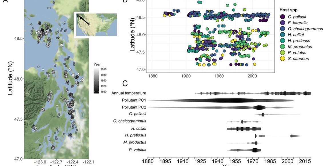    Иллюстрация: pnas.org