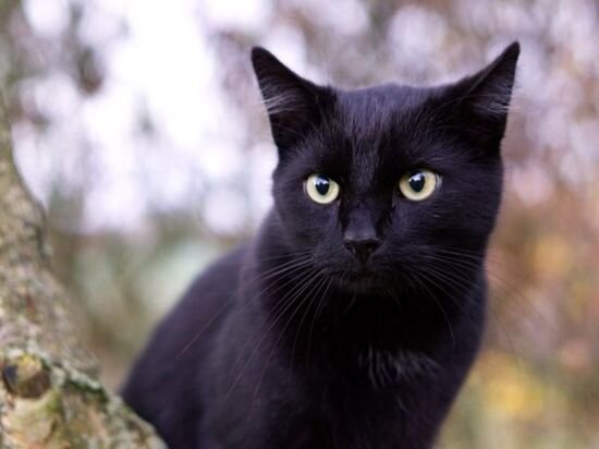     Прекрасный день для обучения. / canva.com