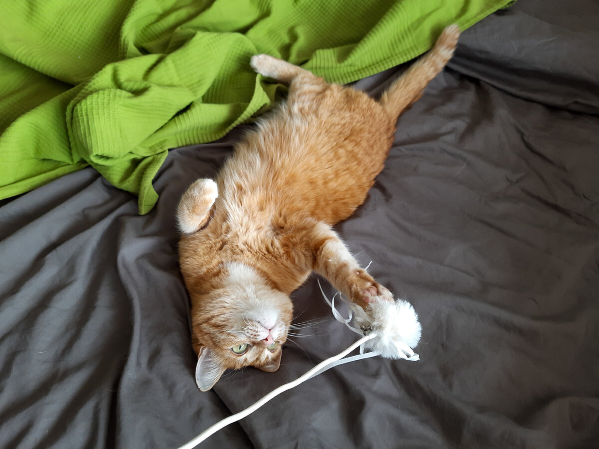 Процесс игры (листайте вправо>>>)