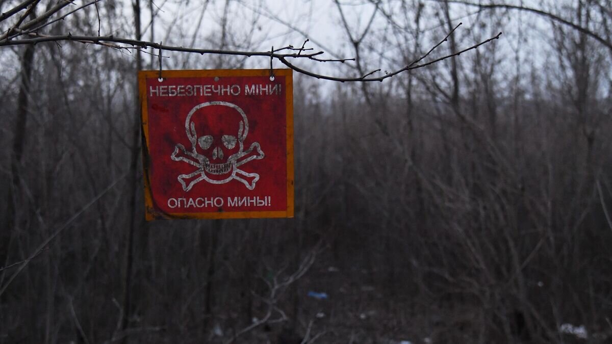    Вывеска с предупреждением о минах на передовой в районе села Крымское в Луганской области© РИА Новости / Виктор Антонюк