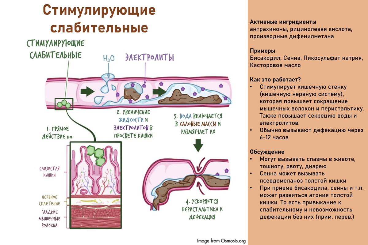 Активные ингридиенты: Антрахиноны, рицинолевая кислота, производные дифенил...