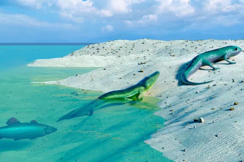     Обратная эволюция — это деградация или совершенно новый путь? Вот что говорят эксперты